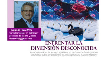 Fernando Ferro Vela Consultor senior en políticas y procesos de crédito y riesgo fferrovela@gmail.com 8 de julio de 2020